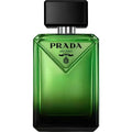 Paradigme
Prada
